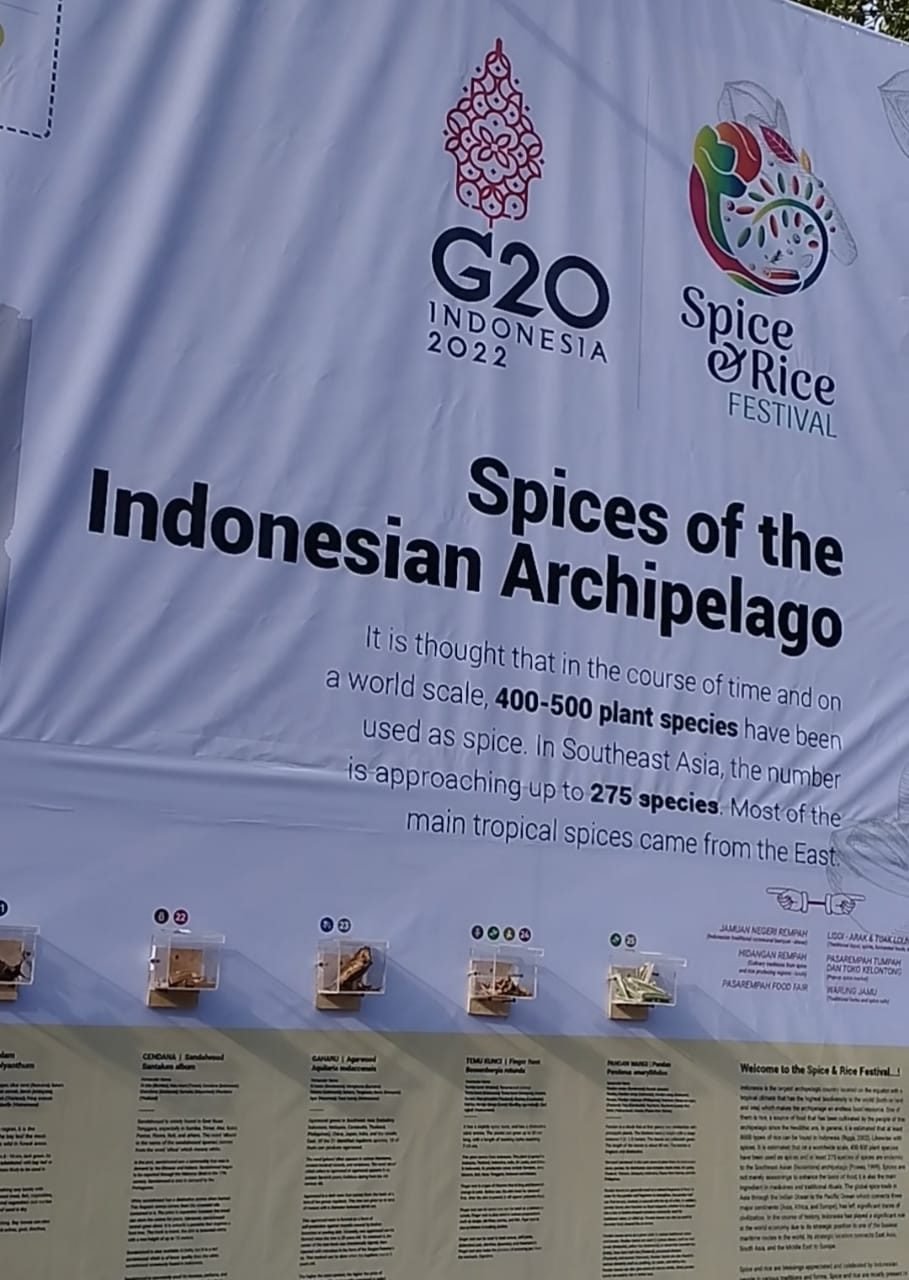 spice and rice festival g20